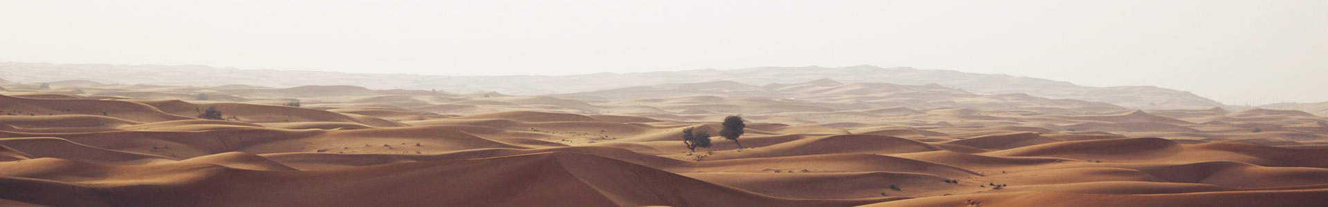 źƻ޹˾